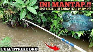 LUAR BIASA.!! MANCING IKAN LOHAN DI SELOKAN PEMBUANGAN KOLAM || STRIKE BERUNTUN RUNTUN BRO