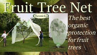 Haxnicks Fruit Tree Net - the best organic frost & pest protection for fruit trees