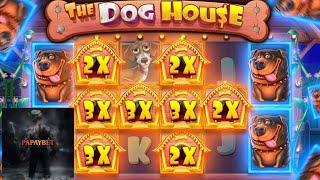 The dog house megaways max win