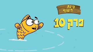 ניר וגלי פינת ליטוף - נבי ודג הזהב