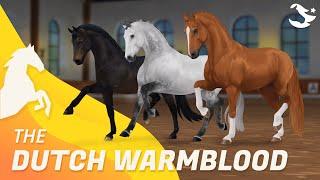 Dutch Warmblood  | Star Stable Horses