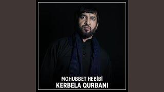 Kerbela Qurbanı