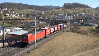 IR 36 mit SBB Re 460 und DB Vectron 193 mit Intermodal Zug