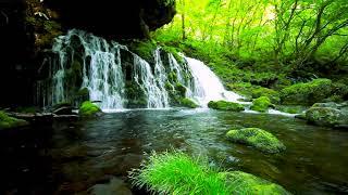 Beautiful Forest Waterfall Landscape. Flowing Water, White Noise, Nature Sounds for Relaxing Sleep.