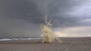 STRANDBEEST EVOLUTION 2017