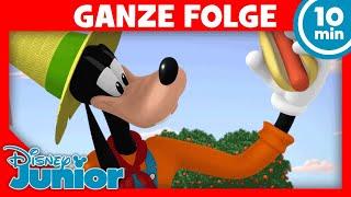 Goofys Hot-Dog-Baum GANZE FOLGE 23 | Micky Maus: Kunterbunte Abenteuer