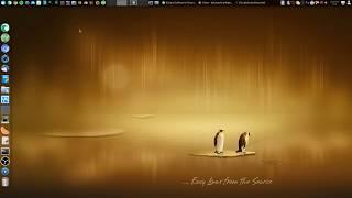 GNU - Linux - Richard Stallman - FSF - Free GNU / Linux distributions - privacy