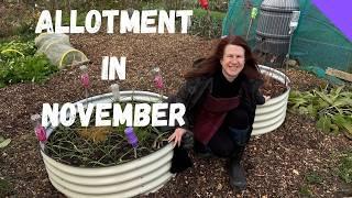 November Allotment Tour - Allotment Gardening For Beginners UK