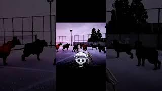 300 like da part 2 #pitbullvs #gta #pitbullvspitbull #gta5 #gaming #pitbull #edit