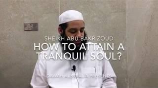 How to attain a Tranquil Soul ? - Sheikh Abu Bakr Zoud