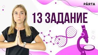 Задание 13 | PARTA ОГЭ ХИМИЯ 2023