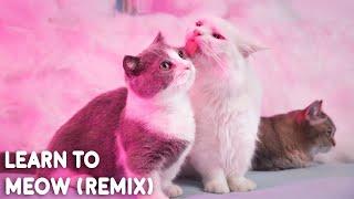 Learn To Meow (Remix) [学猫叫] - Wengie, XiaoPanPan, XiaoFengFeng (Cover By Munchkin)