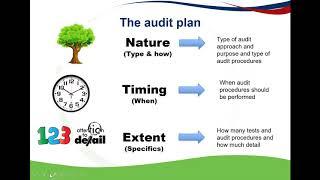 The audit plan