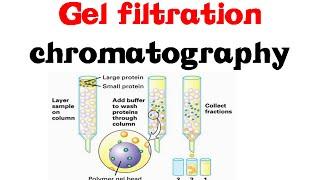 Gel filtration chromatography