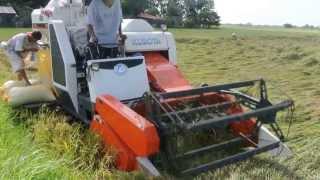 02 KUBOTA DC60 COMBINE HARVESTER OTON ILOILO PHILIPPINES 2013