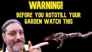 Warning - Watch This Before You Rototill Your Garden To Avoid A Big Mistake