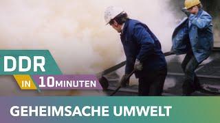 Abgas, Kohle & Chemie · Umweltschutz und Umweltschmutz in der DDR | DDR in 10 Minuten | MDR DOK