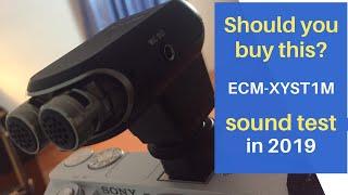 Sony ECM-XYST1M External Microphone Test on Sony a6000