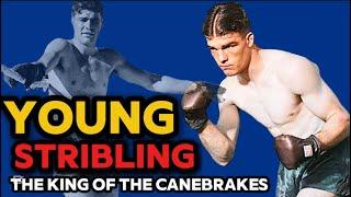 ️ Unraveling the Tragedy of Young Stribling: A Boxing Legend's Story