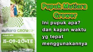 Saat yg Tepat menggunakan Pupuk Npk Grower + TE