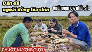 "Chuột Nướng Tươi" Ăn Giữa Đồng • Chuột Ăn Lúa Thịt Rất Thơm Và Ngon • Mouse | Bông Lúa Đồng Tháp