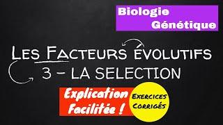 Cours (TD) Biologie Génétique - Facteurs Évolutifs : 3-Sélection - USTHB