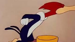 Uncensored Woody Woodpecker The Reckless Drivers