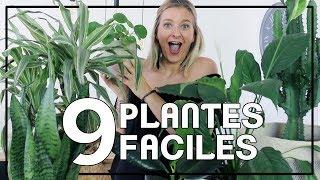 9 plantes increvables faciles à entretenir quand on a pas la main verte !