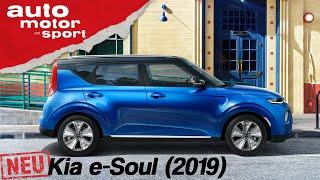 Der neue Kia e-Soul (2019): Was kann der Markenbotschafter? - Fahrbericht/Review |auto motor & sport