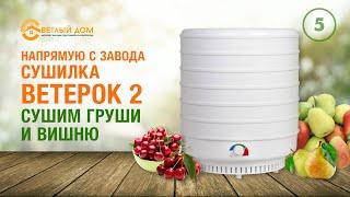 5. Сушилка Ветерок 2. Лучшие сушилки для овощей и фруктов. Домашние чипсы и сушеные овощи на зиму.