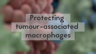 Protecting tumour-associated macrophages