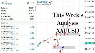 Private Requested Video, Technical Analysis