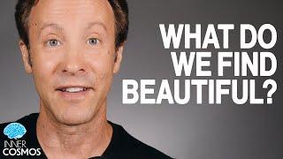 What do we find beautiful? | INNER COSMOS WITH DAVID EAGLEMAN