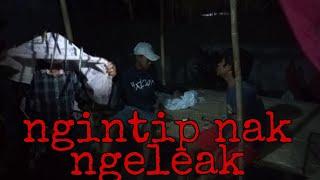 Ngintip leak