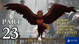 HOGWARTS LEGACY PS5 Walkthrough Gameplay Part 23 - RARE PHOENIX (FULL GAME) #hogwartslegacy #ps5