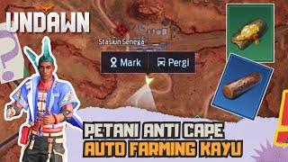 AUTO FARMING UNDAWN - FARMING KAYU UNDAWN - PETANI UNDAWN - UNDAWN GARENA - UNDAWN INDONESIA