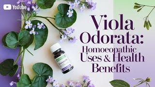 "Viola Odorata" - A Homoeopathic Medicine