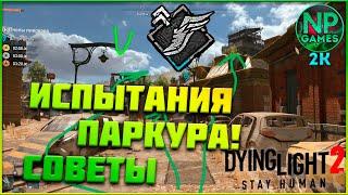 Dying Light 2 испытание паркура ГАЙД как пройти испытания ПАРКУР в дайн лайт 2 Пчёлы Пивовара! Все 3