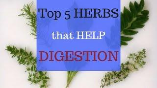 Top 5 Herbs that Aid Digestion Quickly | Jovanka Ciares