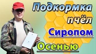 Осенняя подкормка пчёл сахарным сиропом с лимонной кислотой. Кормушки для пчёл.