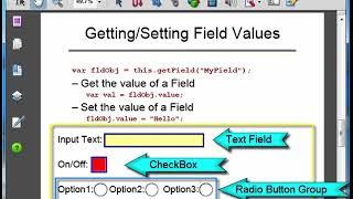 PDF Form Field Scripting Basics