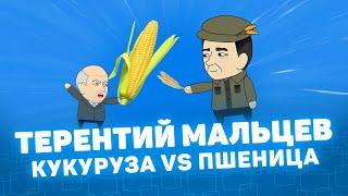 Мистория - Терентий Мальцев. Кукуруза vs пшеница. Курган Курганская область.