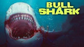 BULL SHARK / MUSIC VIDEO
