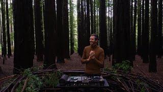 Keinemusik Inspired Afro & Melodic House set part 2. Relaxing Forest DJ Mix 4K Unreleased ID's