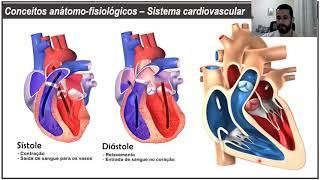 2020 07 10   Sistema Nervoso Autônomo x Aparelho Cardiovascular   Prof Gabriel Gama