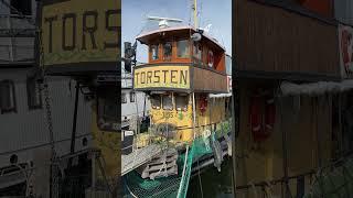 Båten Torsten | The boat Torsten at Skeppsholmen, Stockholm, Sweden