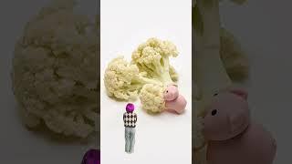 Tran Thao Watches Pigs Eating Cabbage - Funny and Entertaining #funny #toplaughs #entertainment