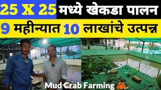 9 महिन्यात 10 लाखांचे उत्पन्न  | Mud Crab Farming Idea  | खेकडे पालन करण्याची योग्य पद्धत 