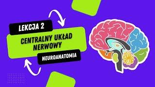 Neuroanatomia | Centralny Układ Nerwowy