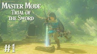 HERE WE GO AGAIN: Trial of the Sword MASTER MODE EDITION #1